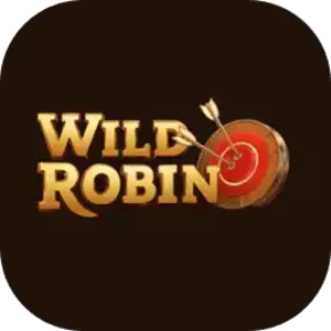 WildRobin Casino alternatief met e-wallets voor American Express